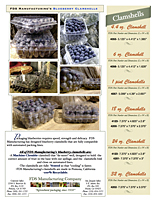 Blueberry Info Sheet